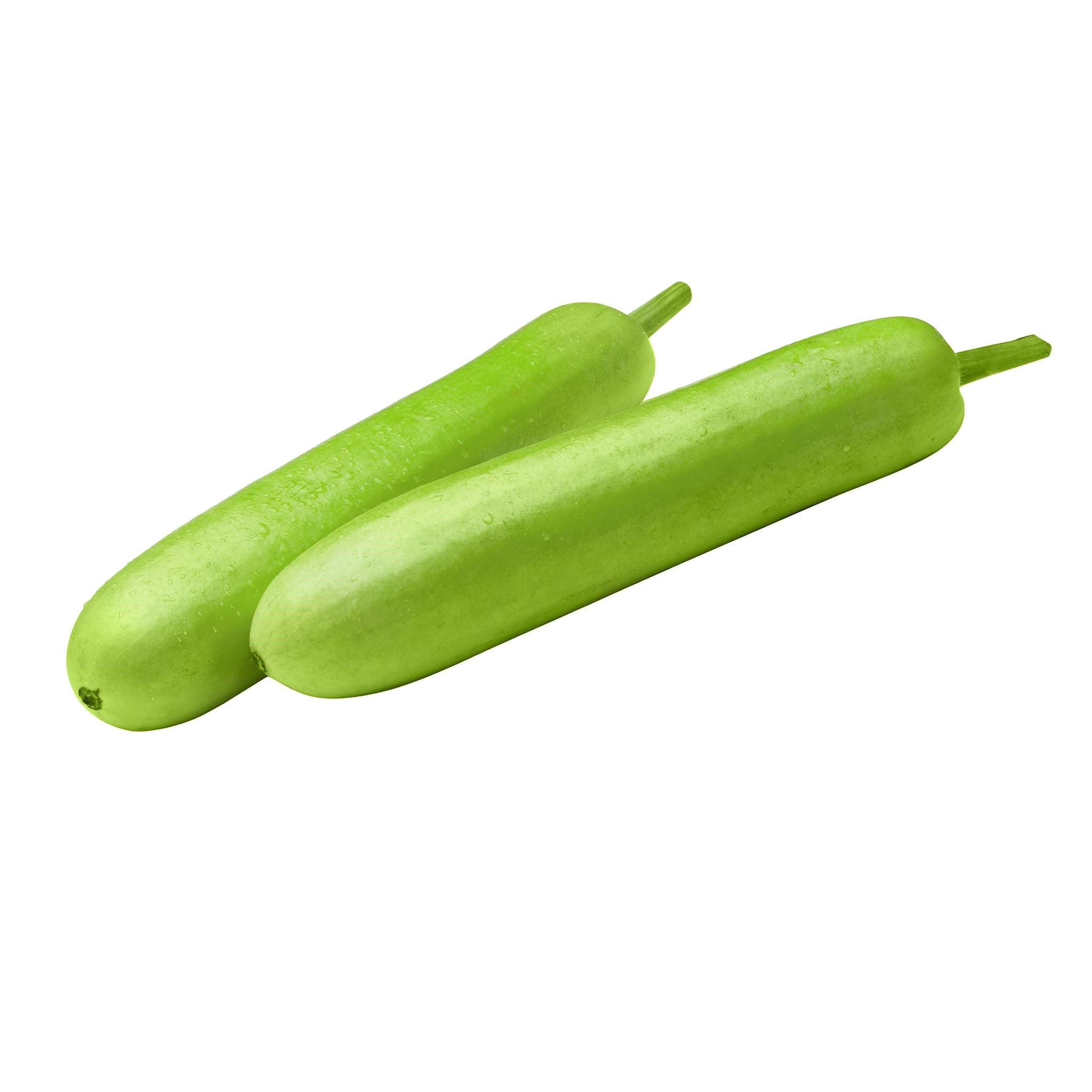 Bottle Gourd