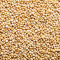 Quinoa Rice