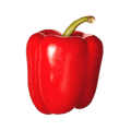 Red Capsicum 200gm To 300gm