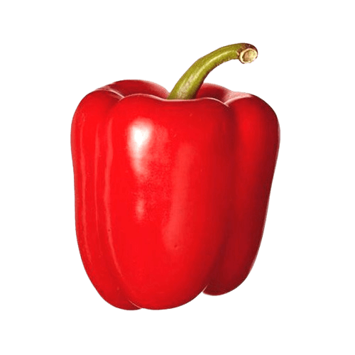 Red Capsicum 200gm To 300gm