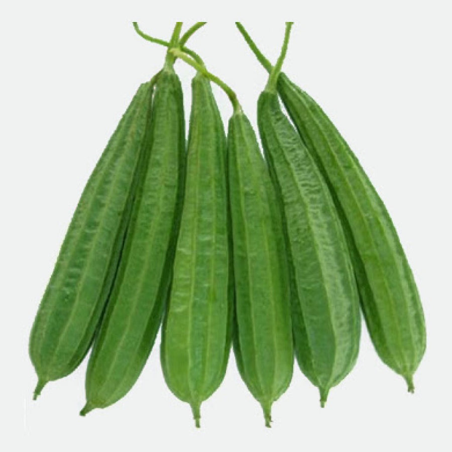 Ridge gourd (Beera)