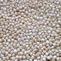 White Jowar / jonnalu