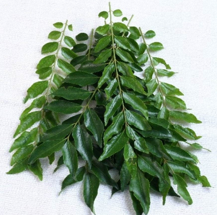 Curry leaves Extra