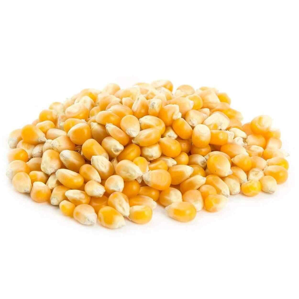 Popcorn seeds