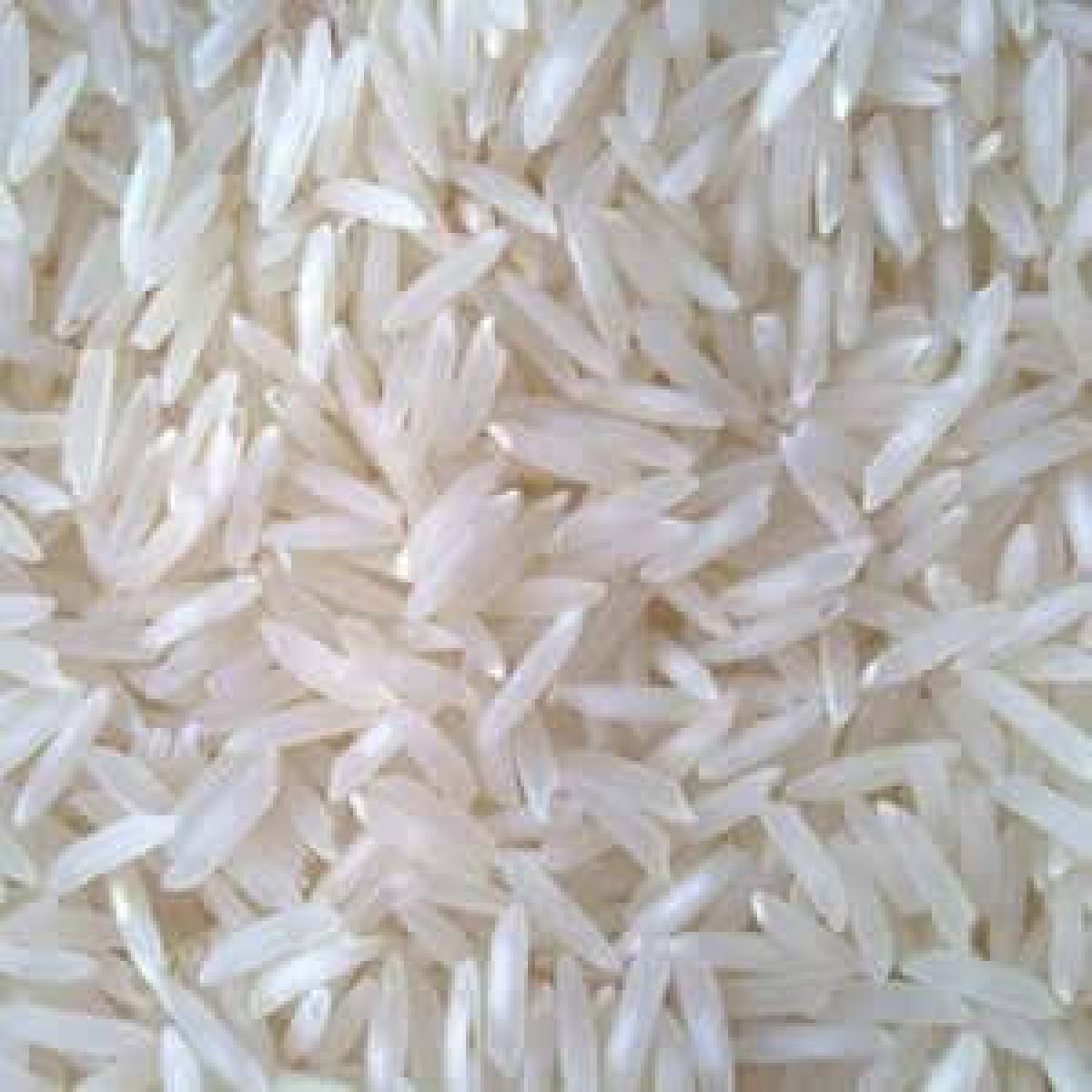 Kurnool Sona Mansoori Rice