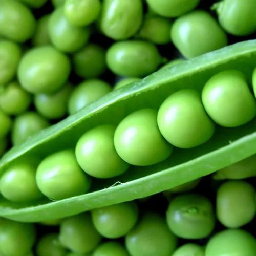 Green Peas / బఠానీ