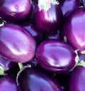 Round Brinjal