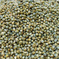Sajjalu