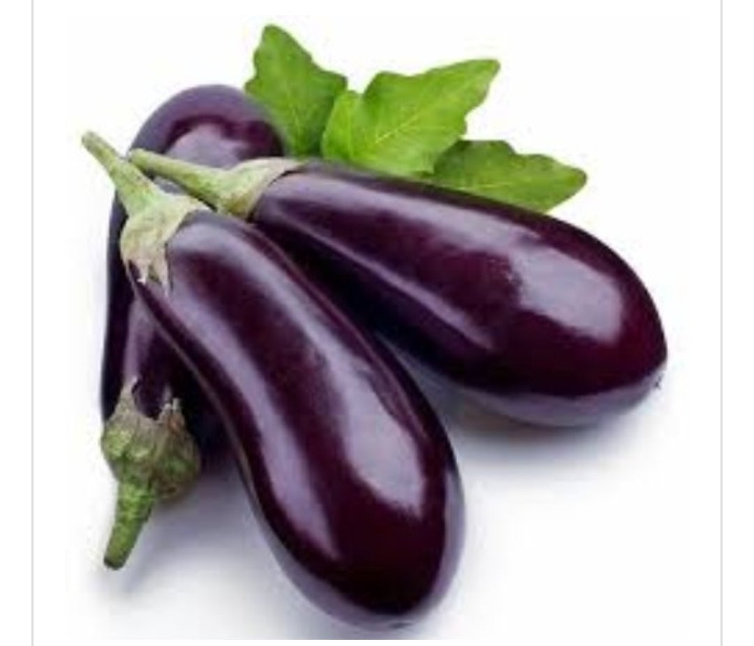 Brinjal Long