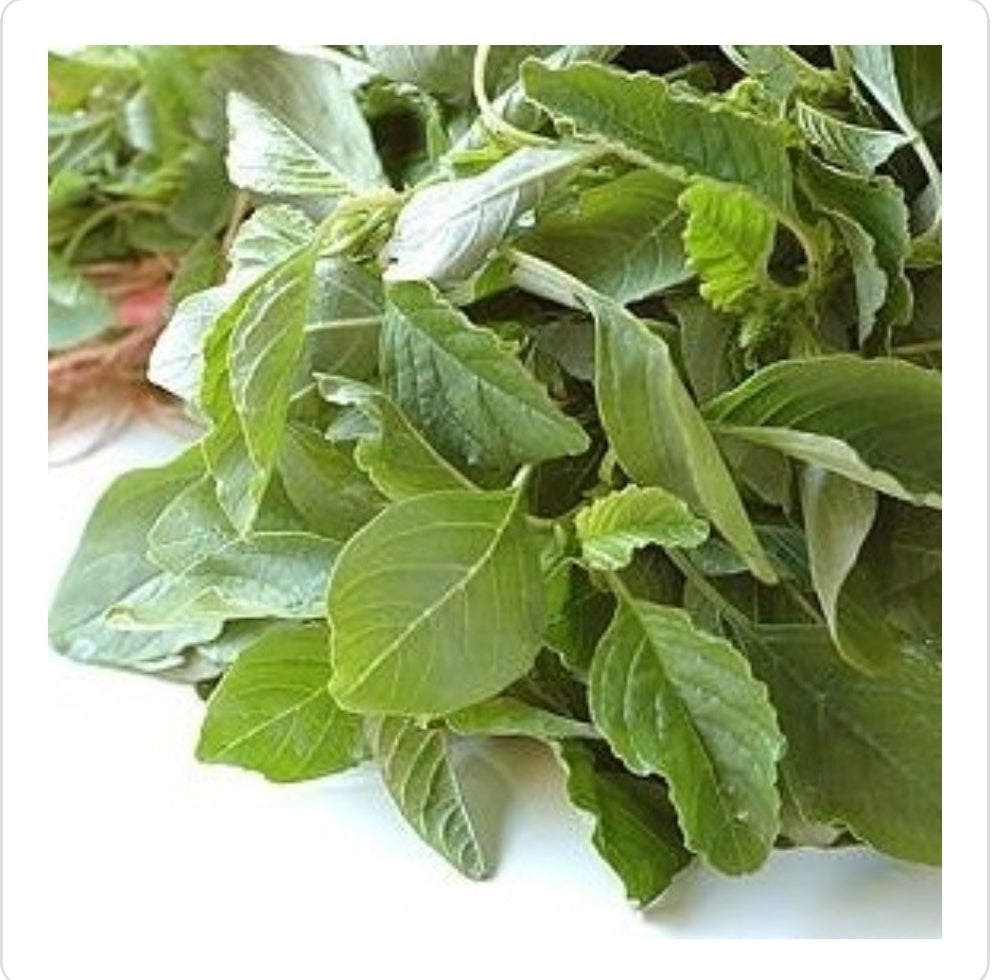 Amaranthus / Perugu Thotakura