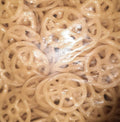 Baby Ring Papad