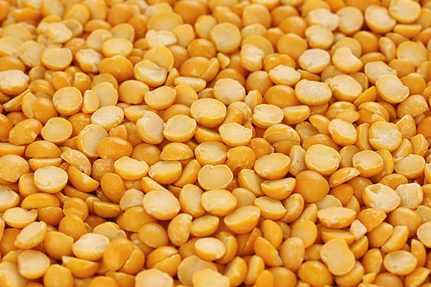 Toor Dal / Kandipappu (Nagpur)