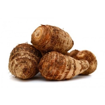 Colocasia (Chamadumpa)