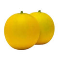 Cucumber (Dosakaya)