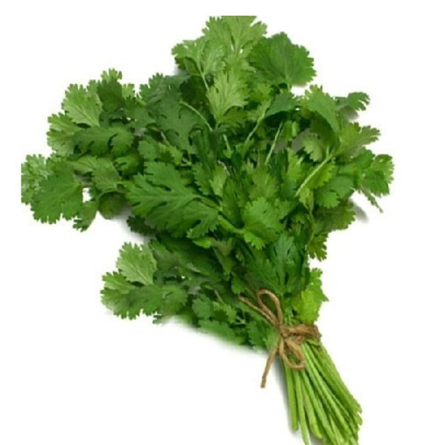 Coriander leaves