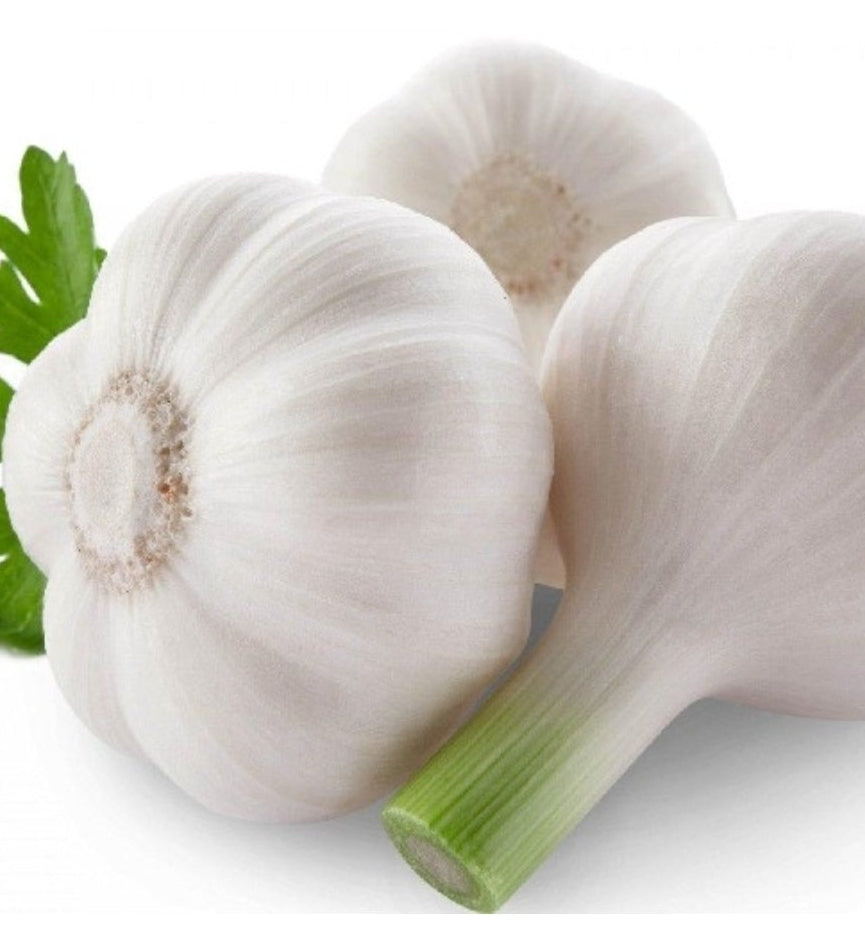 Garlic (Jumbo)