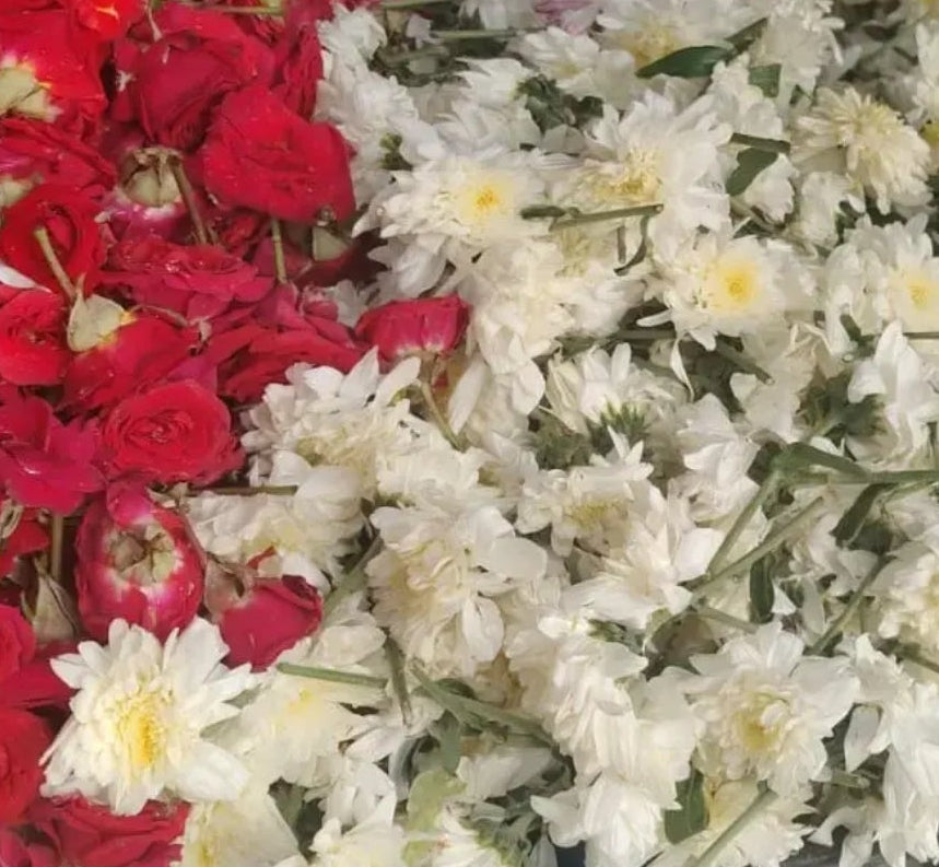 Flowers Chamanthi and Rose