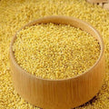 Little Millet / Samalu
