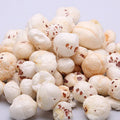 Phool Makhana