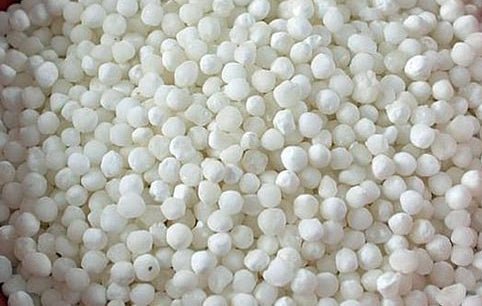 Sabudana / Saggu Biyyam