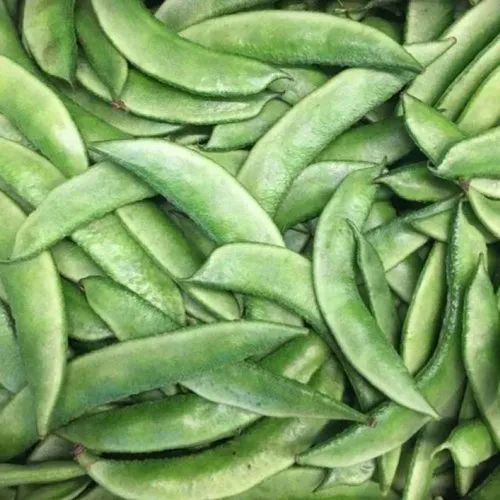 Broad Beans (Pedda Chikkudu)