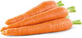Carrot ( Kolar)