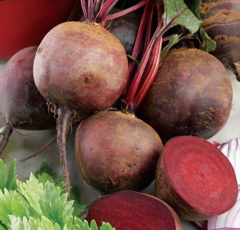 Beetroot (Kolar)