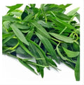 Water Amaranth / Ponnaganti 2 Bunches
